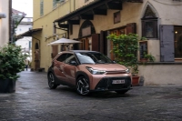 19202026aygoxhighgradecinnamondynamic013-copie