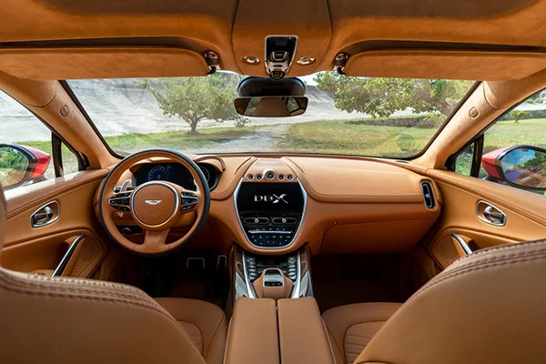 Aston Martin DBX 13