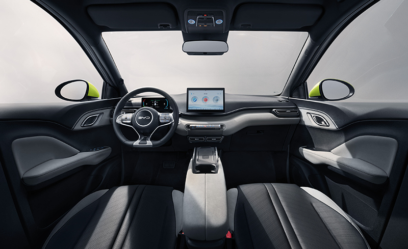 BYD Dolphin Surf 1 million 5 copie