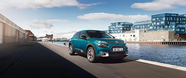 C4 Cactus 