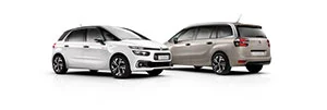 C4 Picasso Rip Curl intr