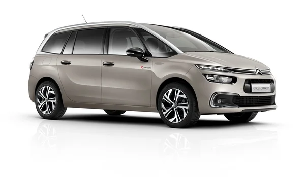 C4 Picasso Rip Curl 1