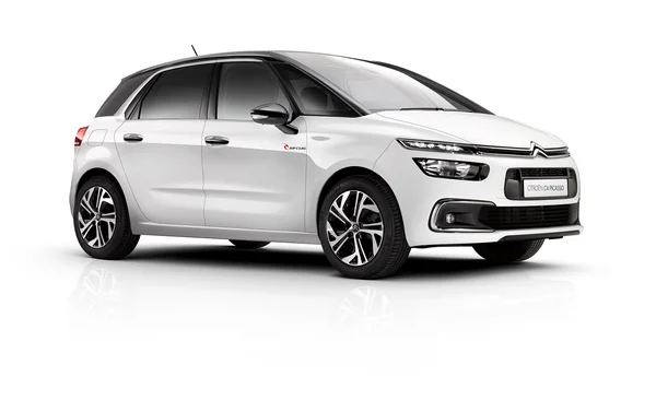 C4 Picasso Rip Curl 2