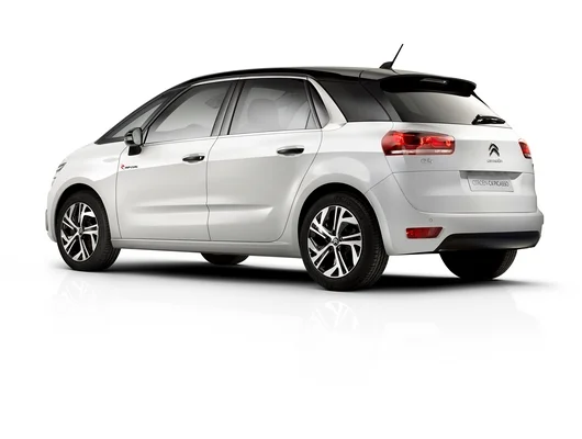 C4 Picasso Rip Curl 3