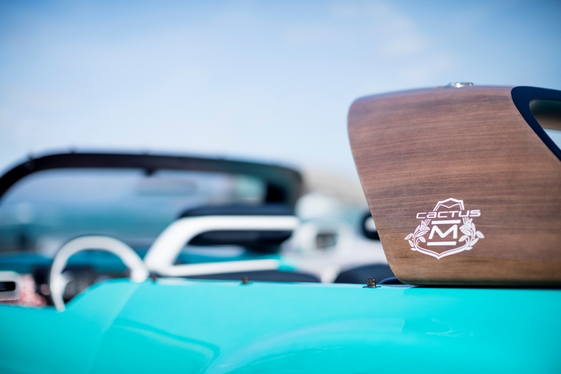 Concept Car Citroen Cactus M 7