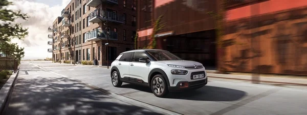 Nouvelle C4 Cactus 1