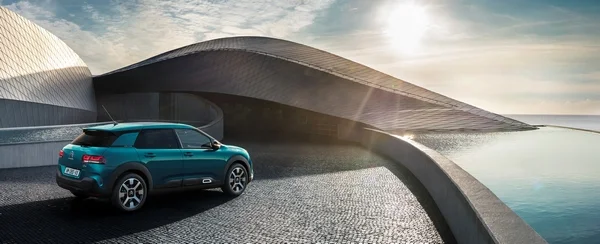 Nouvelle C4 Cactus 2