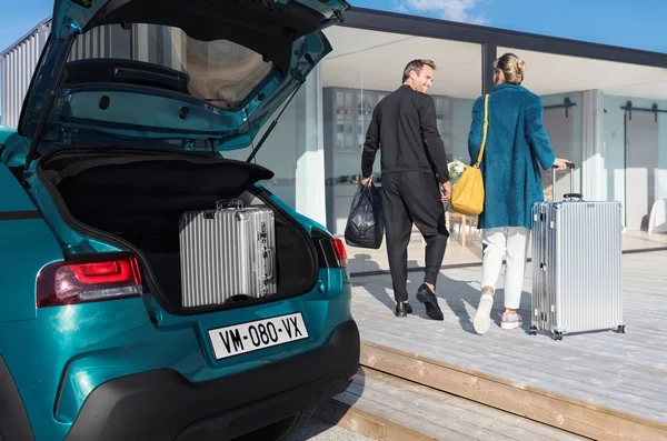 Nouvelle C4 Cactus 3