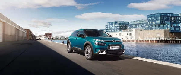 Nouvelle C4 Cactus 5