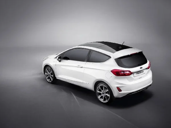 FORD FIESTA2016 VIGNALE 34 REAR 02