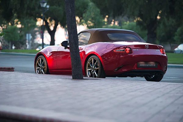 MX5 2019 1