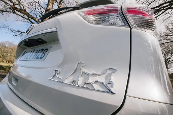 Nissan X Trail 4 dogs 1