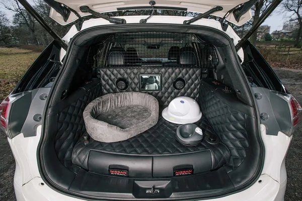 Nissan X Trail 4 dogs 3