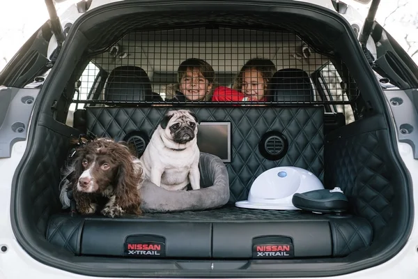 Nissan X Trail 4 dogs 5