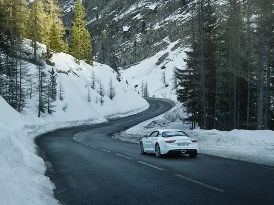 21204900 ALPINE Pure
