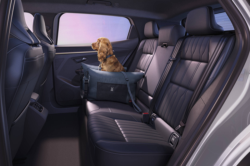 Renault Scenic E Tech electric 2026 les sièges arrière avec un chien sur l'accoudoir