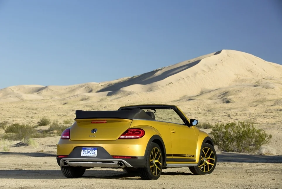Coccinelle Dune 2016 4
