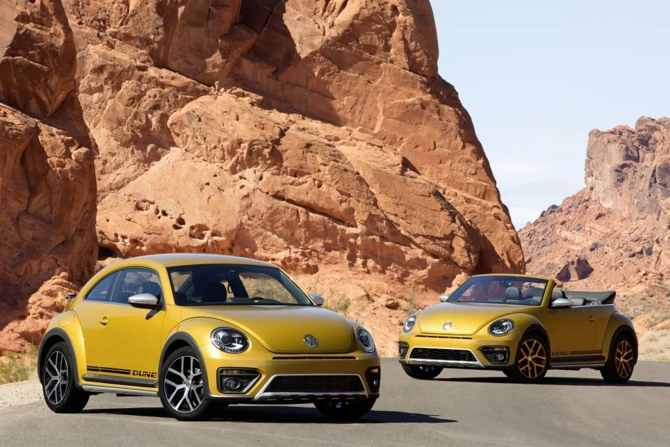 Coccinelle Dune 2016 5