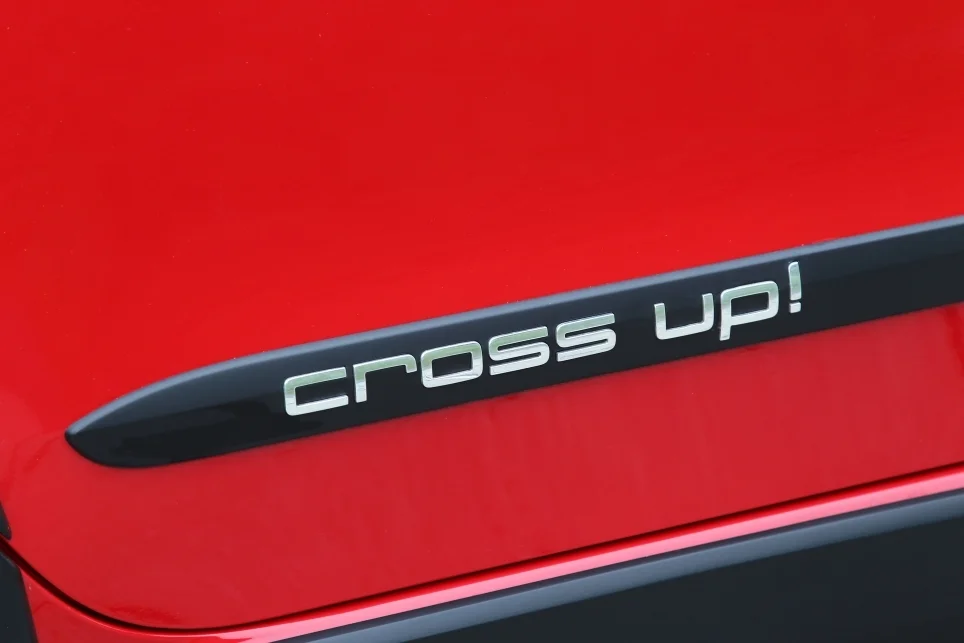 bd studie up cross 06