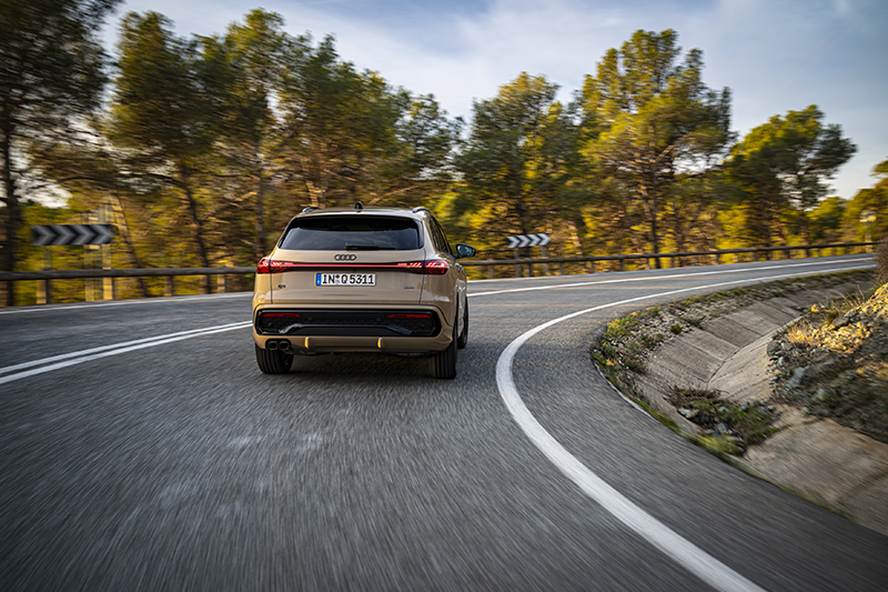 Audi Q5 1 copie