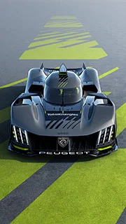 PEUGEOT 9X8 2107STYP002