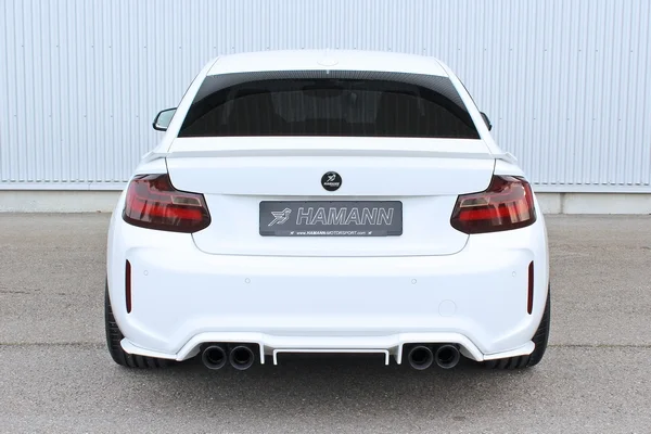 HAMANN M2 Rear