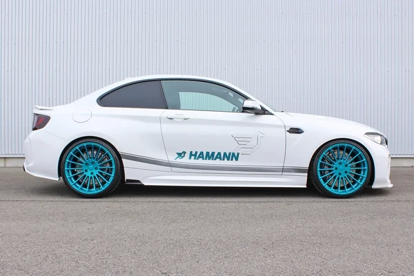 HAMANN M2 Side