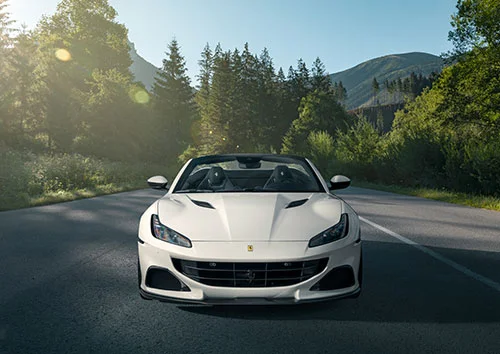 NOVITEC FPoM intr