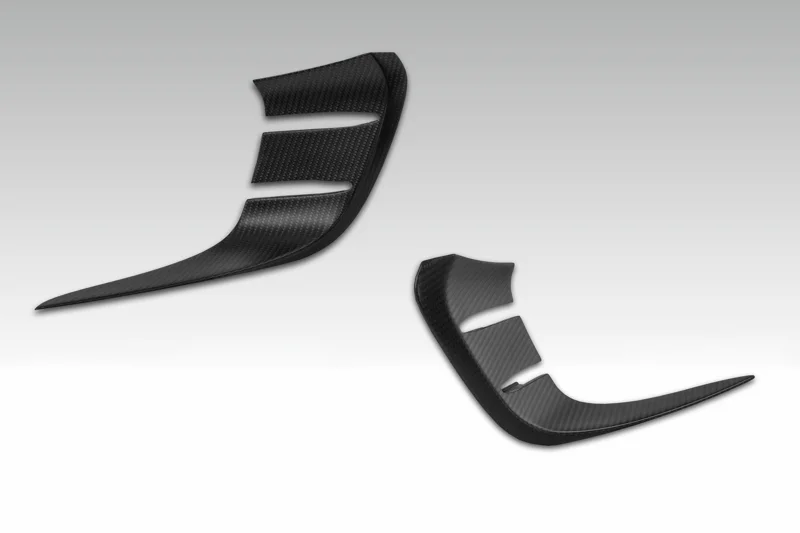 TECHART Carbon Aerowings
