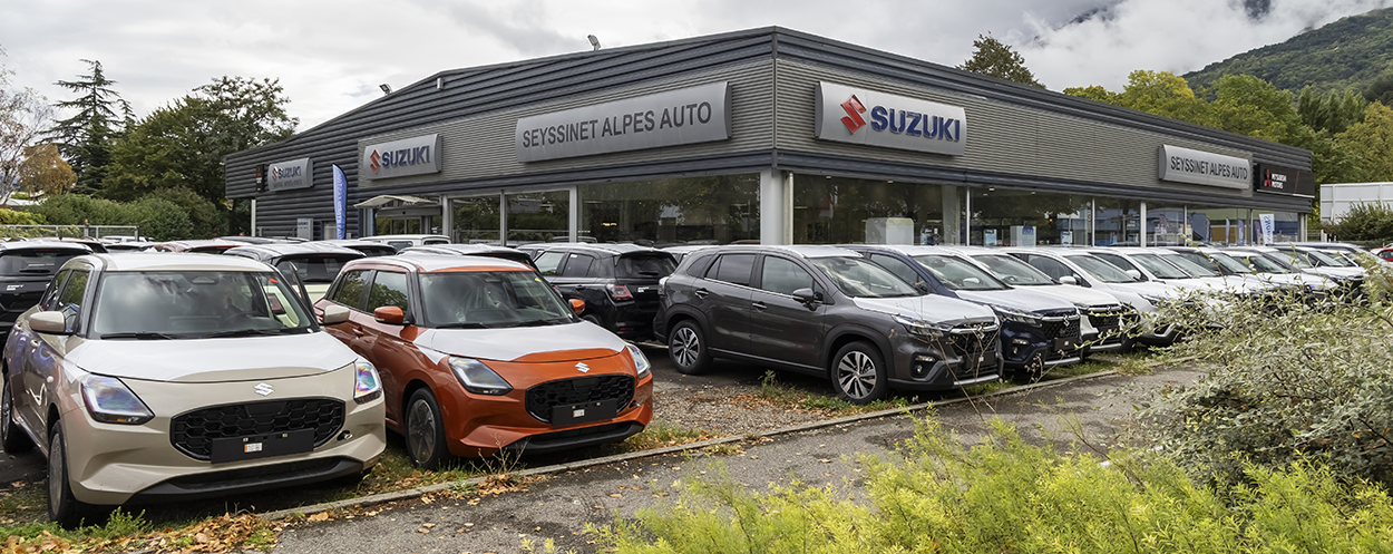 Seyssinet Alpes Auto 002 copie