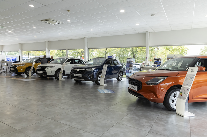 Seyssinet Alpes Auto 006 copie