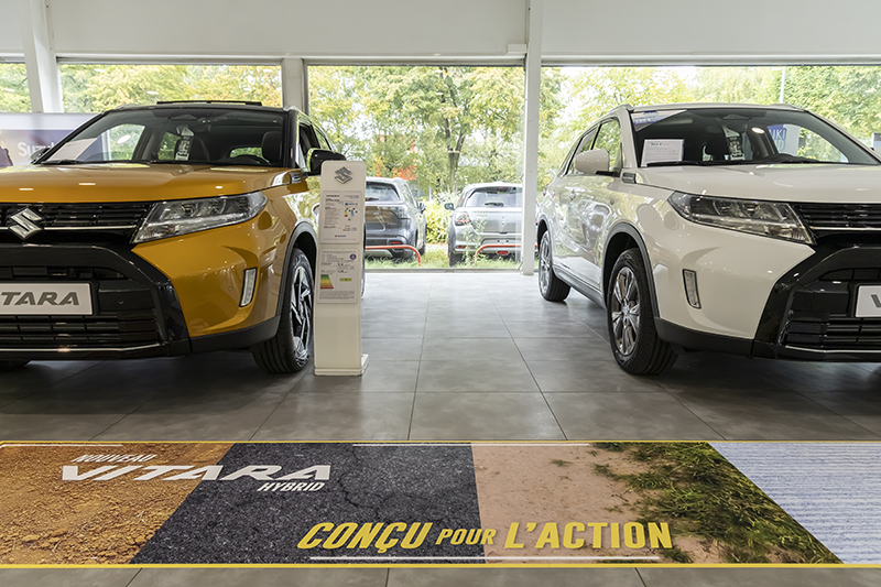 Seyssinet Alpes Auto 010 copie