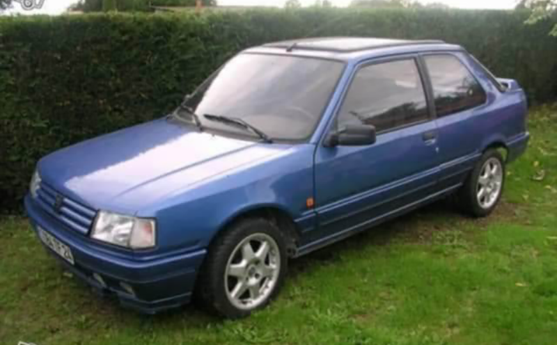 30ç GTI bleuse près d'une haie