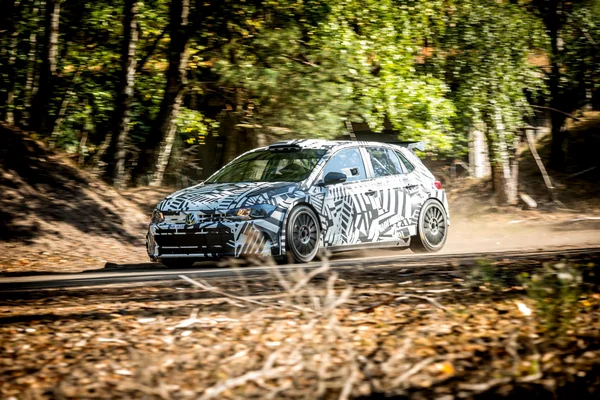 VW Polo GTi R5 1