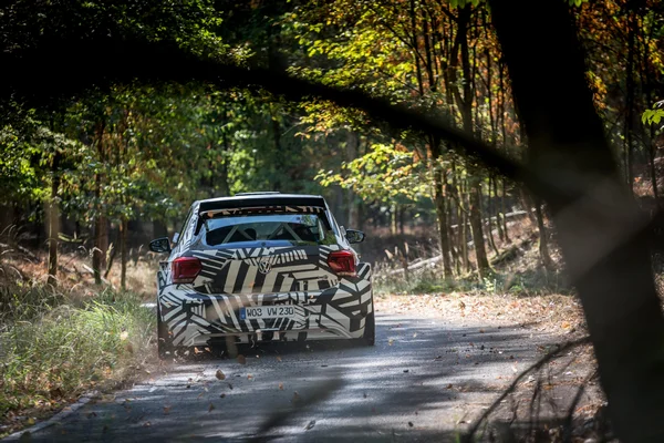 VW Polo GTi R5 2
